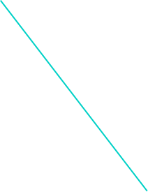 258